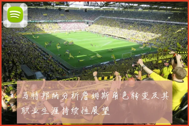 马特邦纳分析詹姆斯角色转变及其职业生涯持续性展望